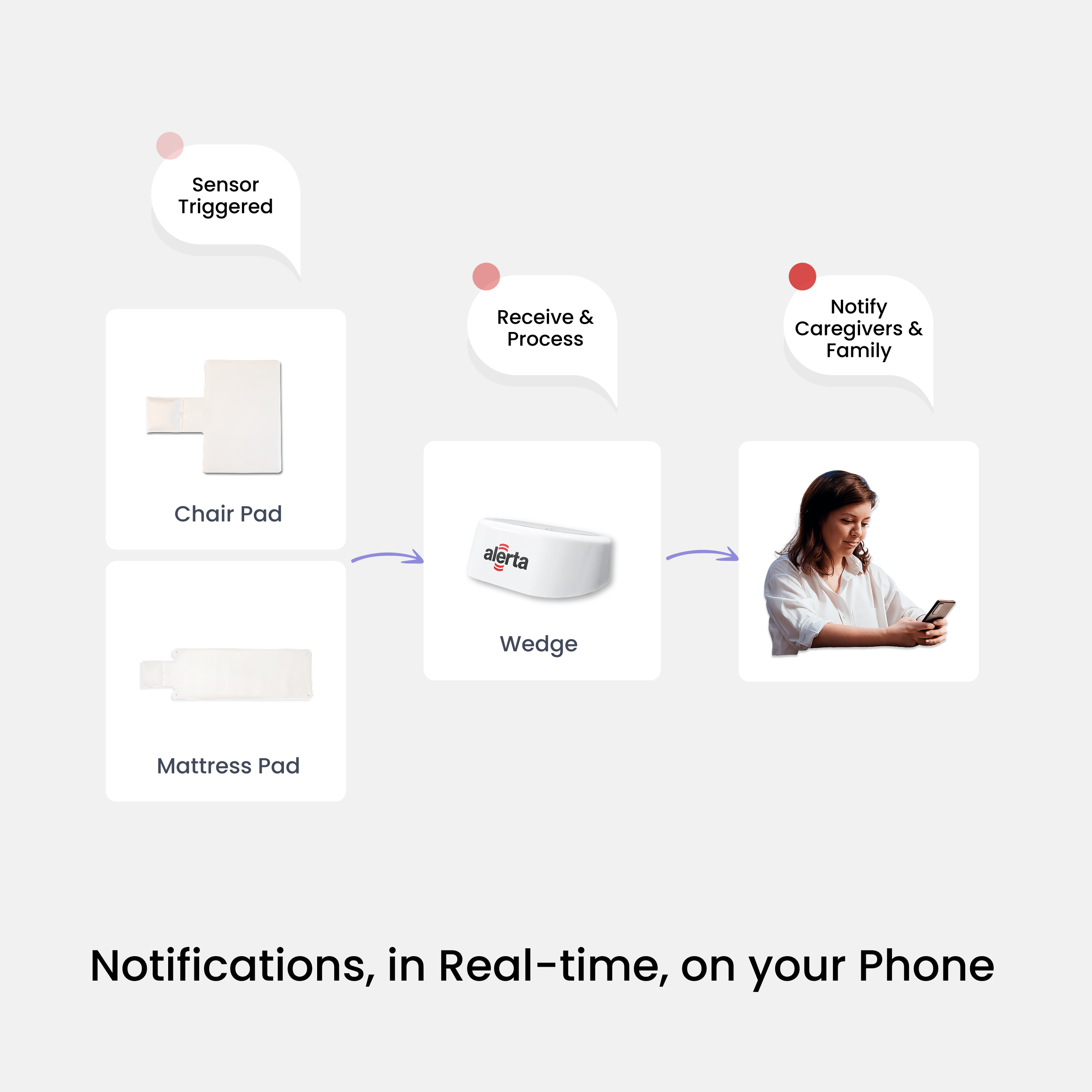 Alerta Home Kit: Alerta Home 201