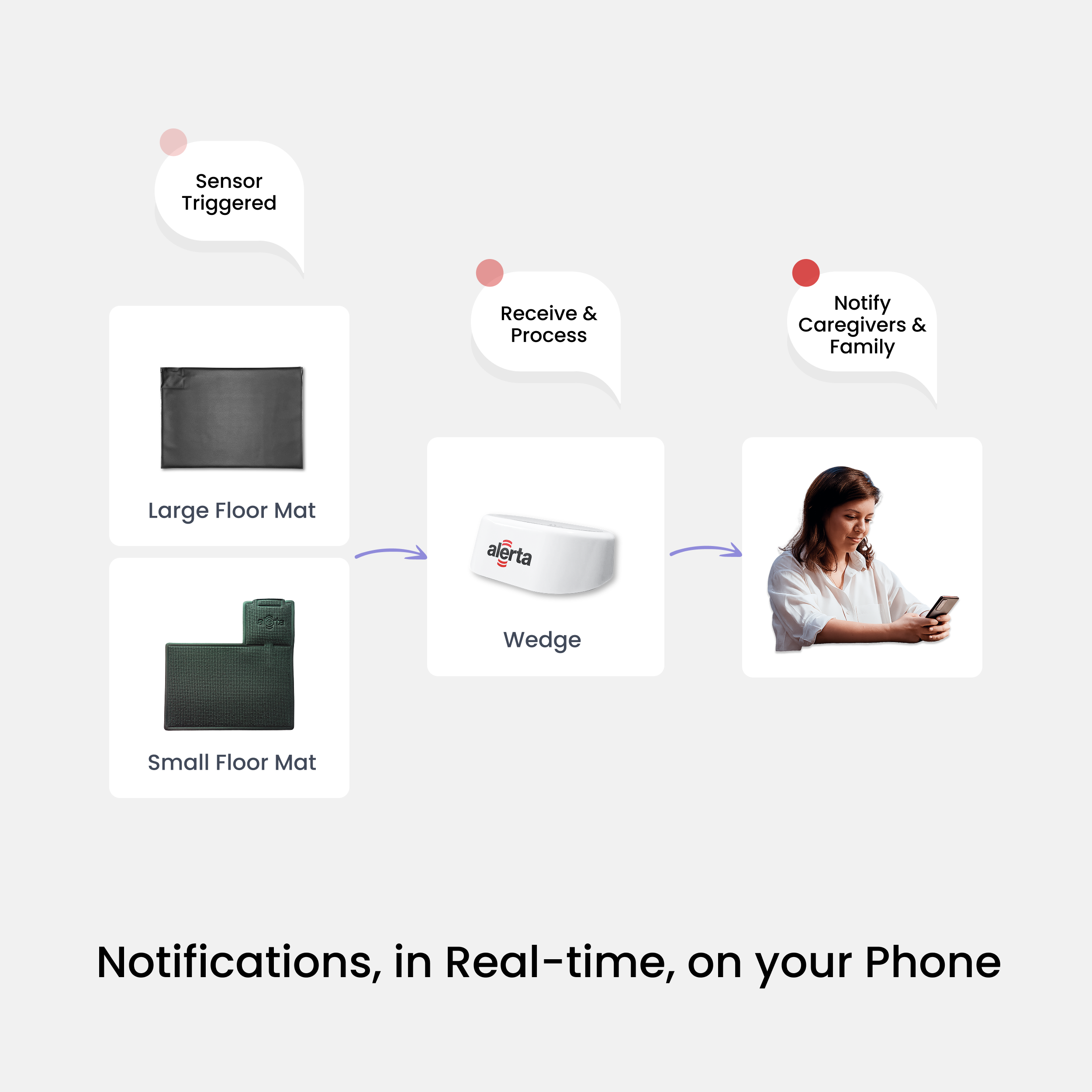 Alerta Home Kit: Alerta Home 202