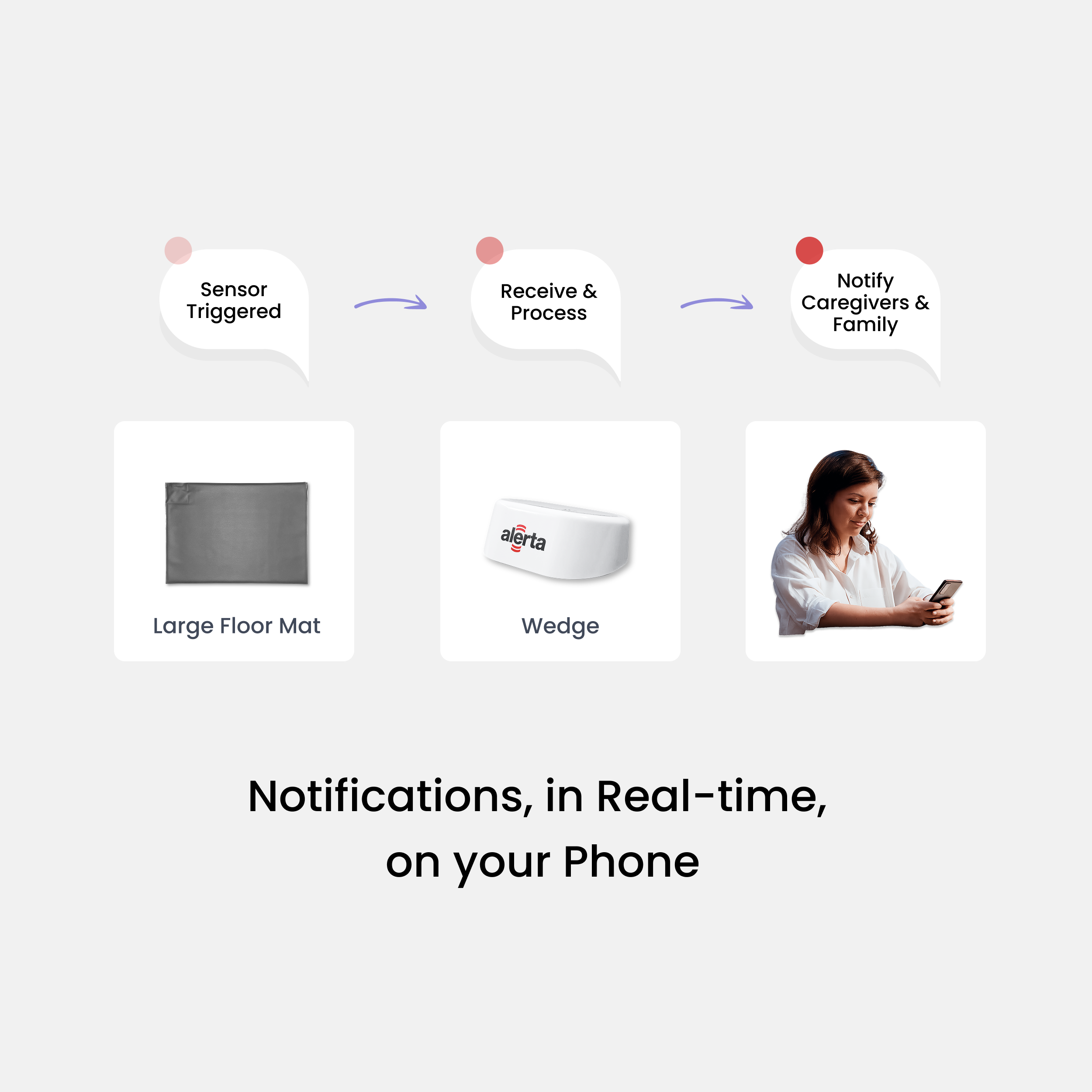 Alerta Home Kit: Alerta Stride