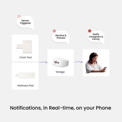 Alerta Home Kit: Alerta Home 201