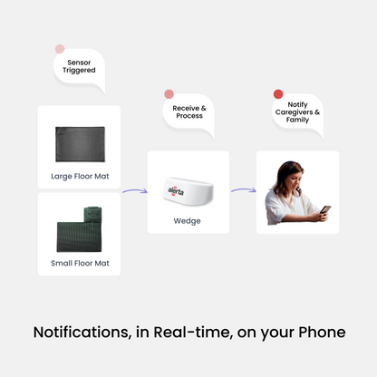 Alerta Home Kit: Alerta Home 202