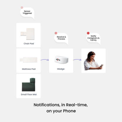 Alerta Home Kit: Alerta Home 302