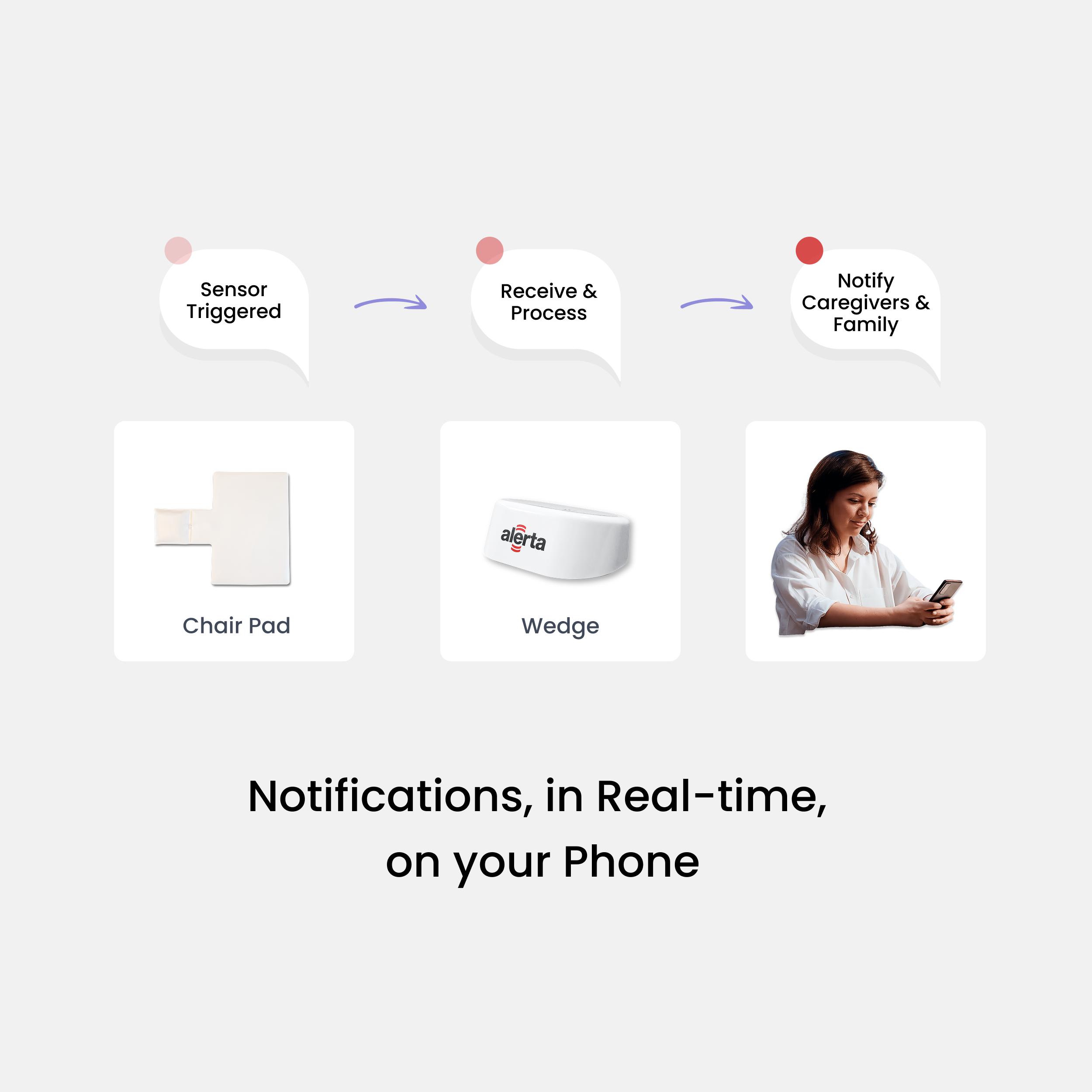 Alerta Home Kit: Alerta Rest